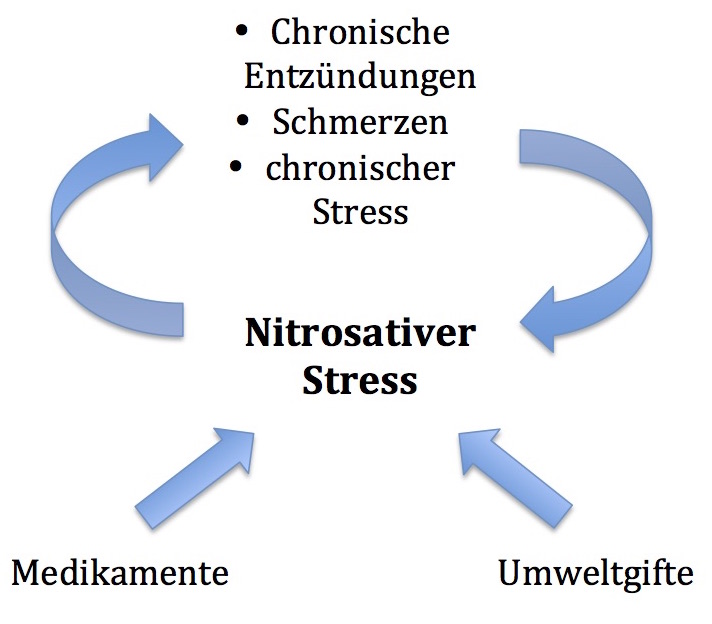 nitrosativer Stress, Mitochondriopathie, Heilpraktiker Berlin Schöneberg